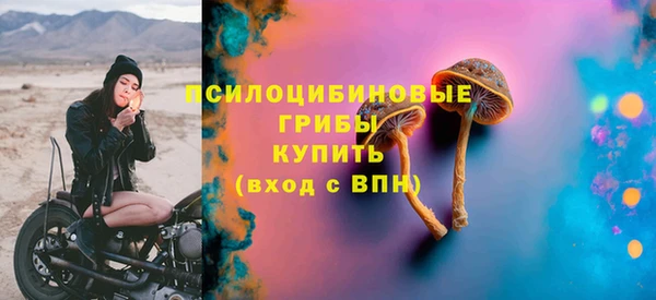 стафф Магадан