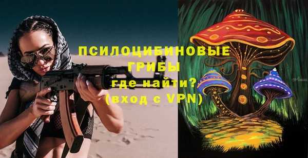 PSILOCYBIN Магас