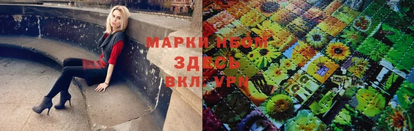 PSILOCYBIN Магас