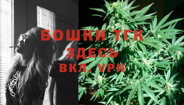 PSILOCYBIN Магас